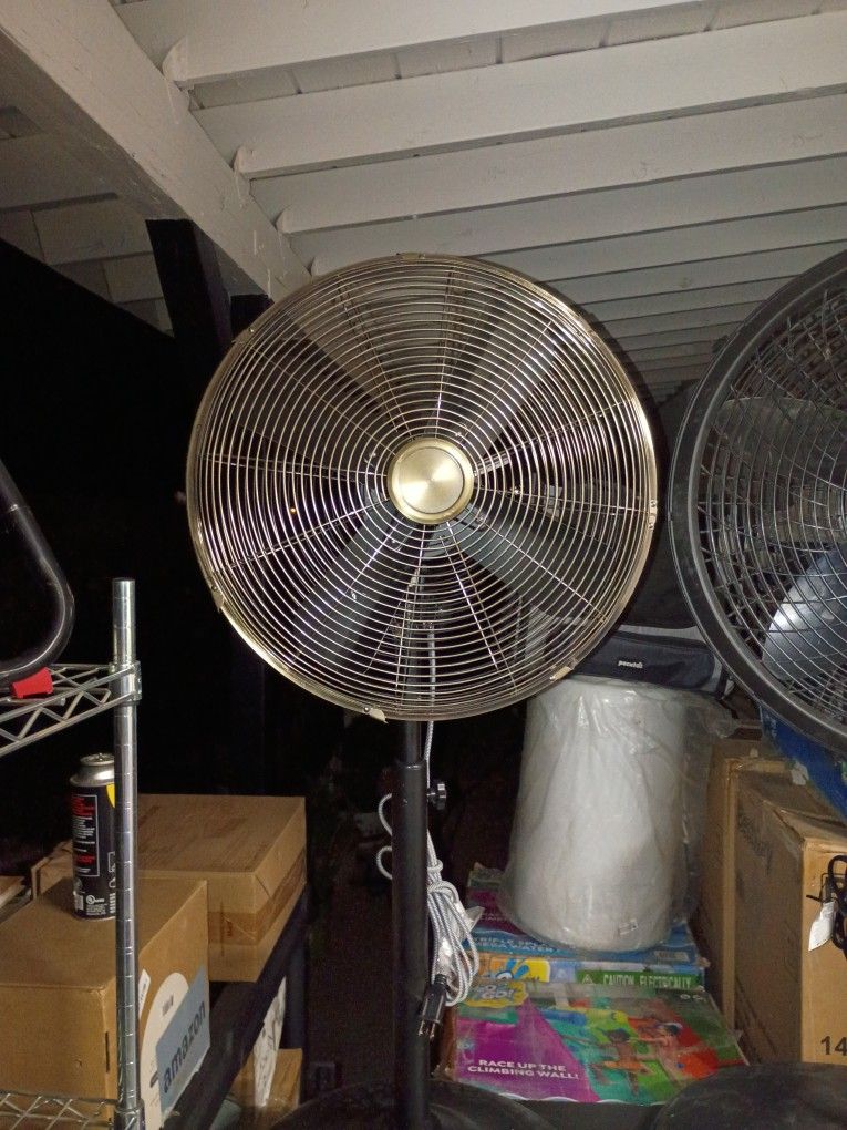 Fan