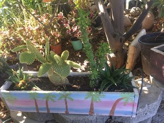 Small box planter