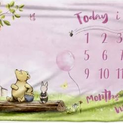Winnie the Pooh Monthly Baby Milestone Warm Cozy Plush Blanket Throw New Condition
