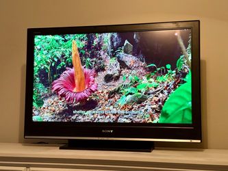40” Sony TV