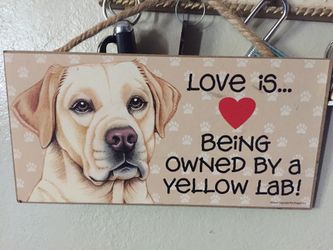 Dog decoration Labrador