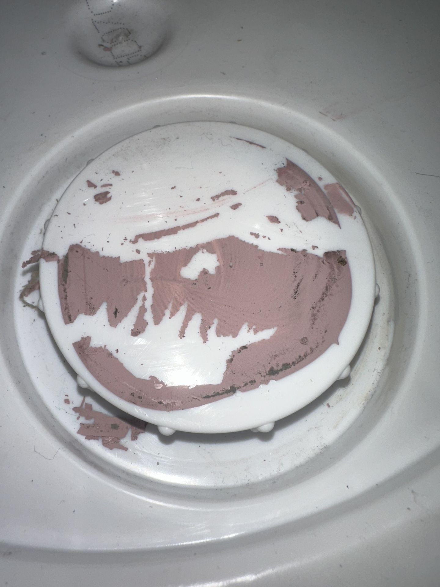 Paint 5 Gallon 