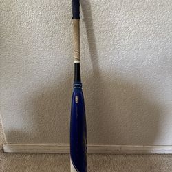 Axe Avenge Pro Baseball Bat