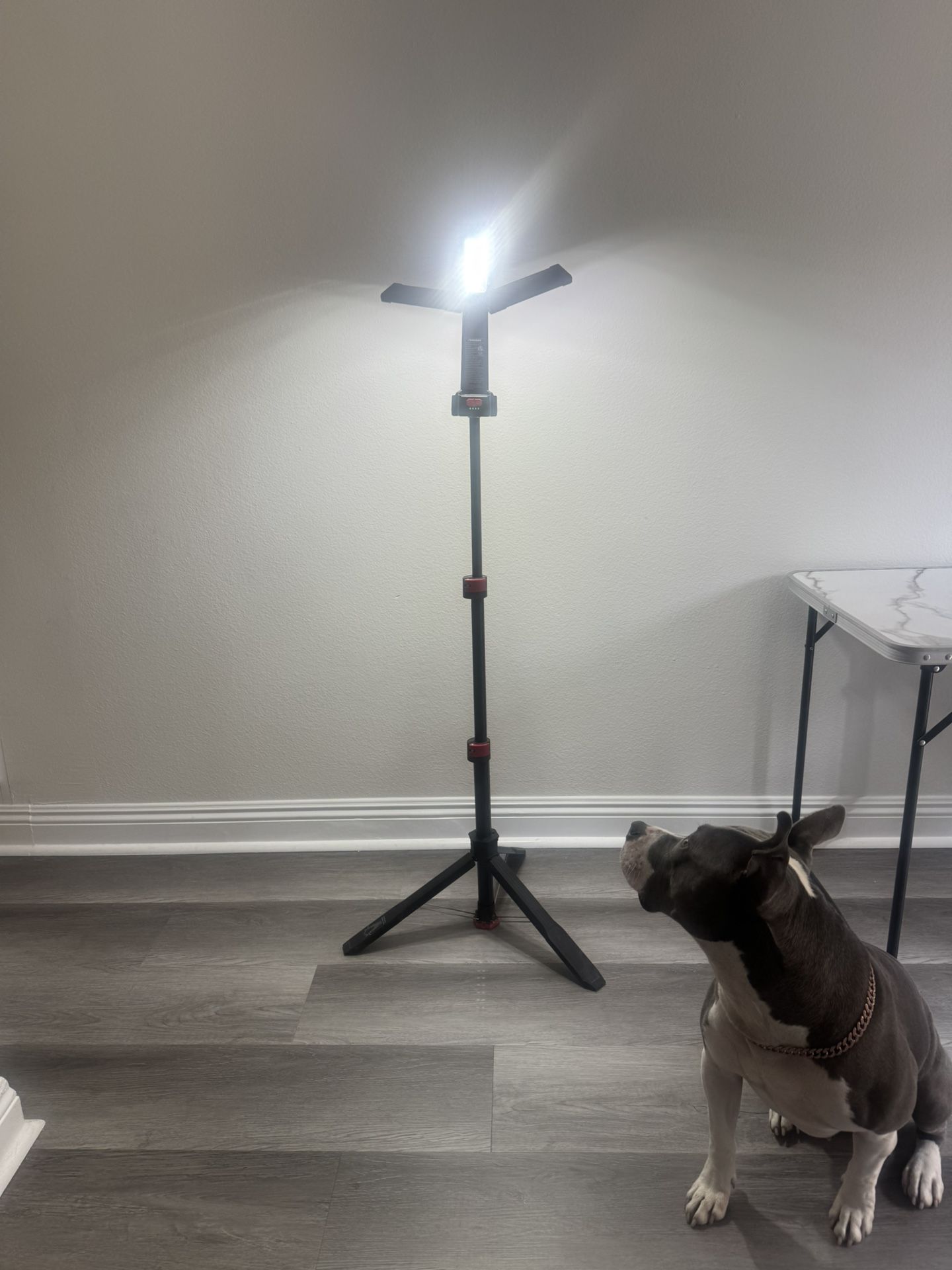Husky Tripod LED Light