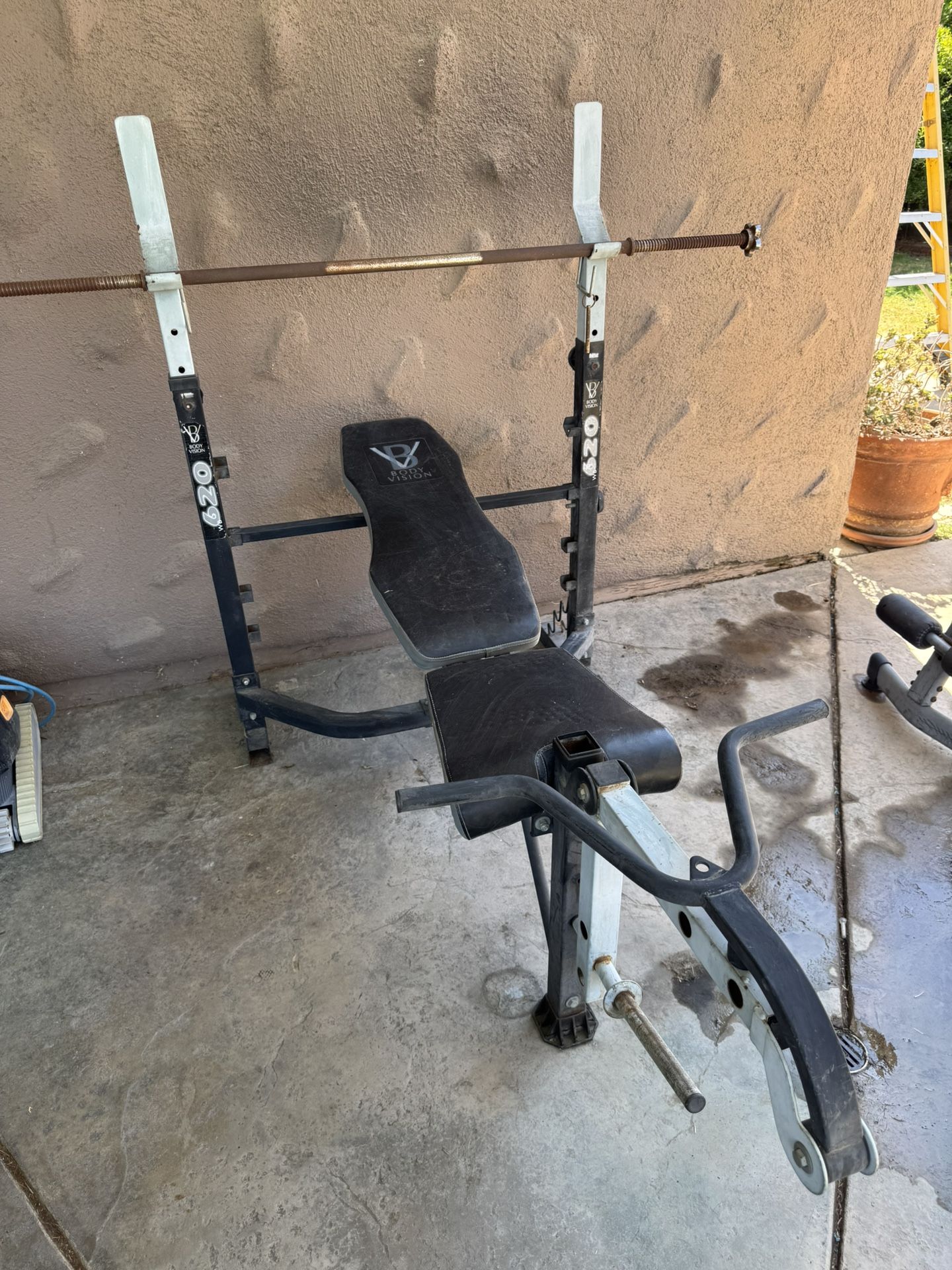 Weight bench curling Bar Plus Weights