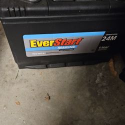 EverStart Platinum AGM – Group 65