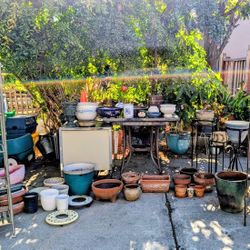 Flower Pots & Metal Plant Stands