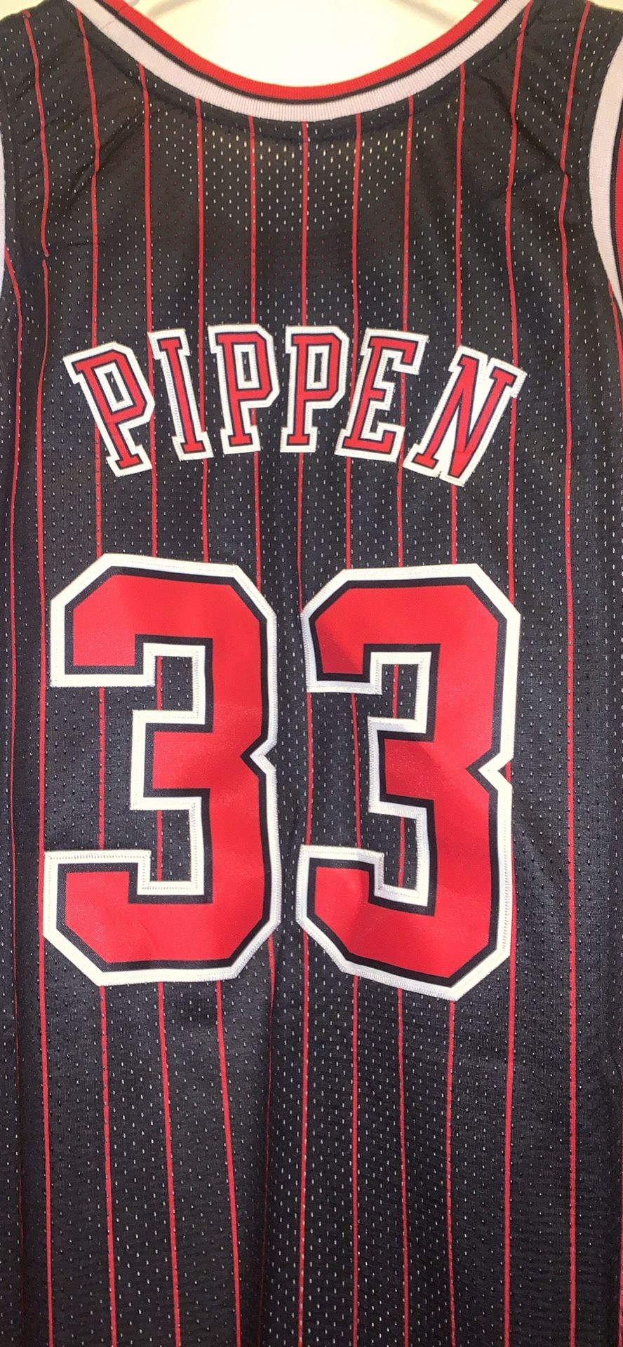 Scotti Pippen Embroidered Jersey