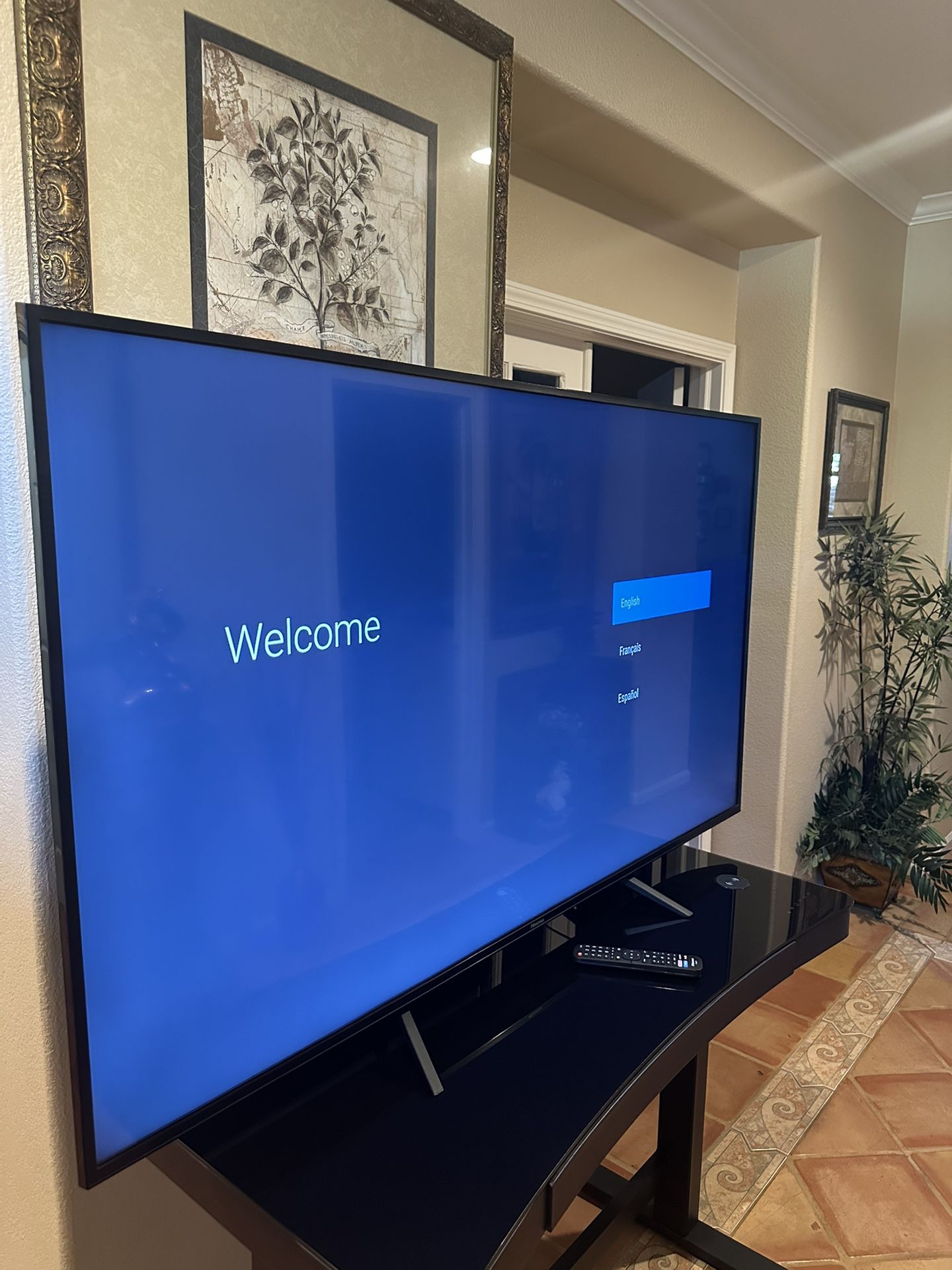 65 4K Hisense / TV STAND / Desk