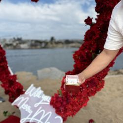 Proposal Heart 