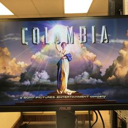 Asus 24” LCD 1080P 75HZ Gaming Monitor 