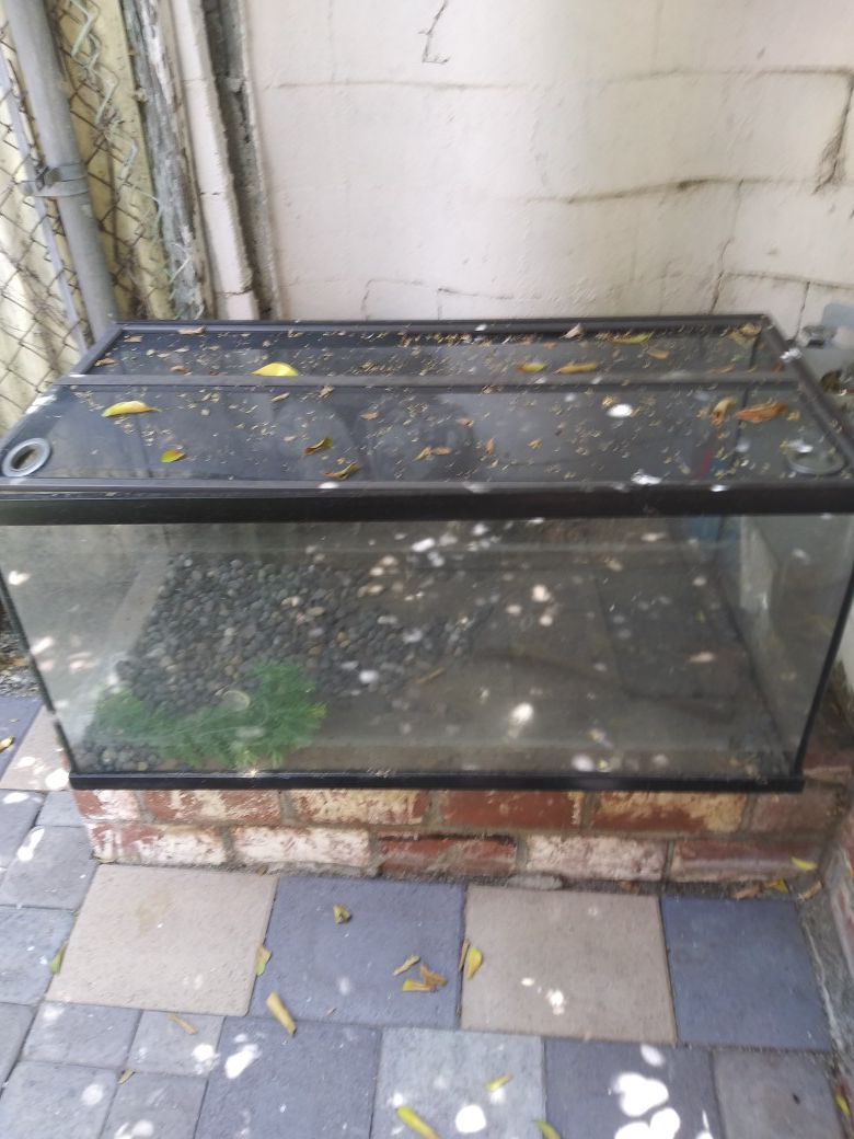 Fish tank with light and filter mid condition
