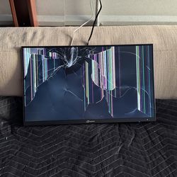BROKEN ArcticPro AD24EF4 LED Monitor (for parts)