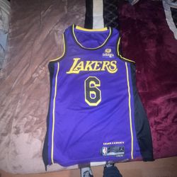 Nike NBA Swingman Jersey – Los Angeles Lakers – LeBron James #6 (Purple/Icon Edition)