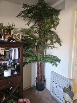 Artificial Plants