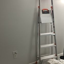 Little giant Ladder