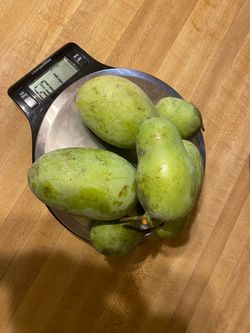 Pawpaw Fruit - available 9/27