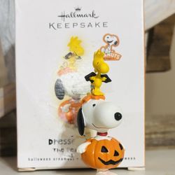 NEW Hallmark Snoopy & Woodstock “Dressed Up Duo” 2009