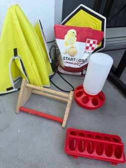 Set para pollitos
