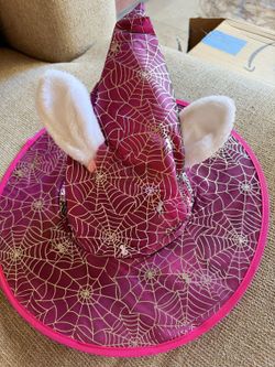 Pink Spiderweb Witch Hat with Bunny Ears