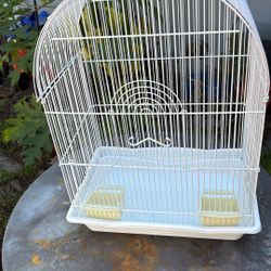 Bird Cage