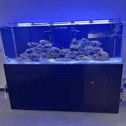 indeed least Top Fish Tank Setup – Great Design and Quality