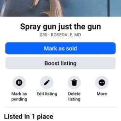 Spray Gun