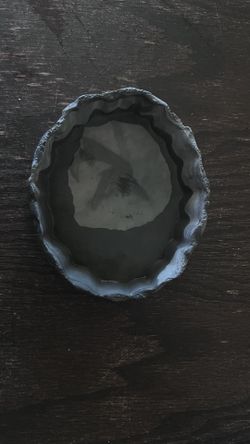 Mini Reptile food/water Bowl