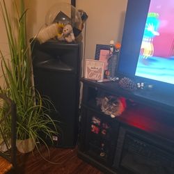 2 Speakers 3'9" $600  ( OBO ) No Delivery