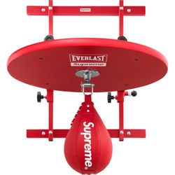 Supreme Everlast Speed Bag + Platform 