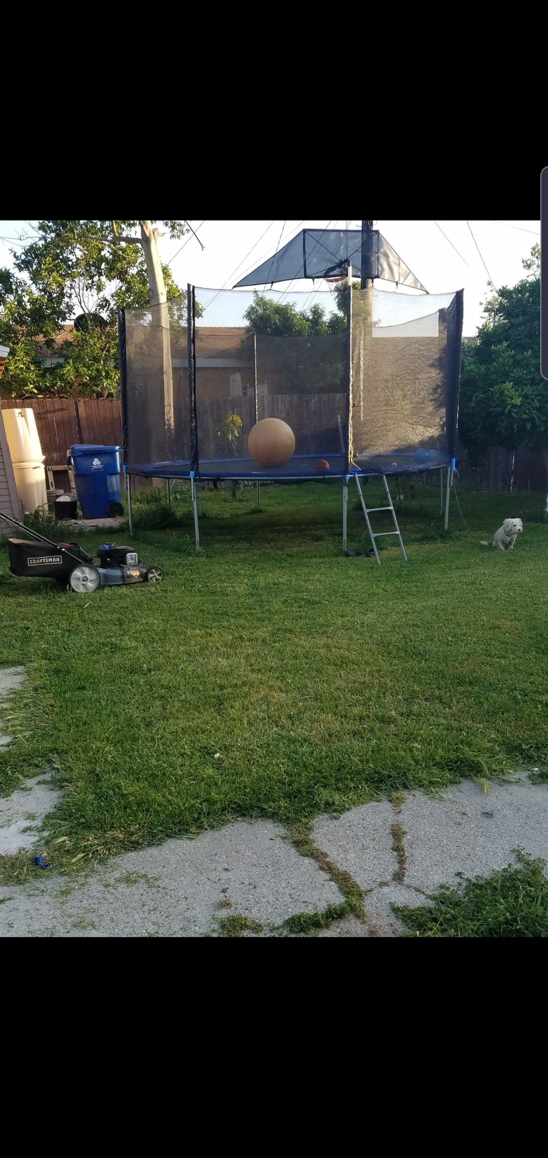 15"TRAMPOLINE WITH BASKETBALL HOOP