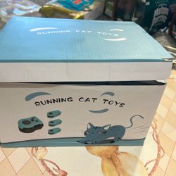 cat toy