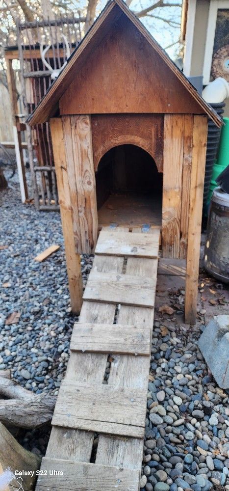 Dog House And A Dog Gloo