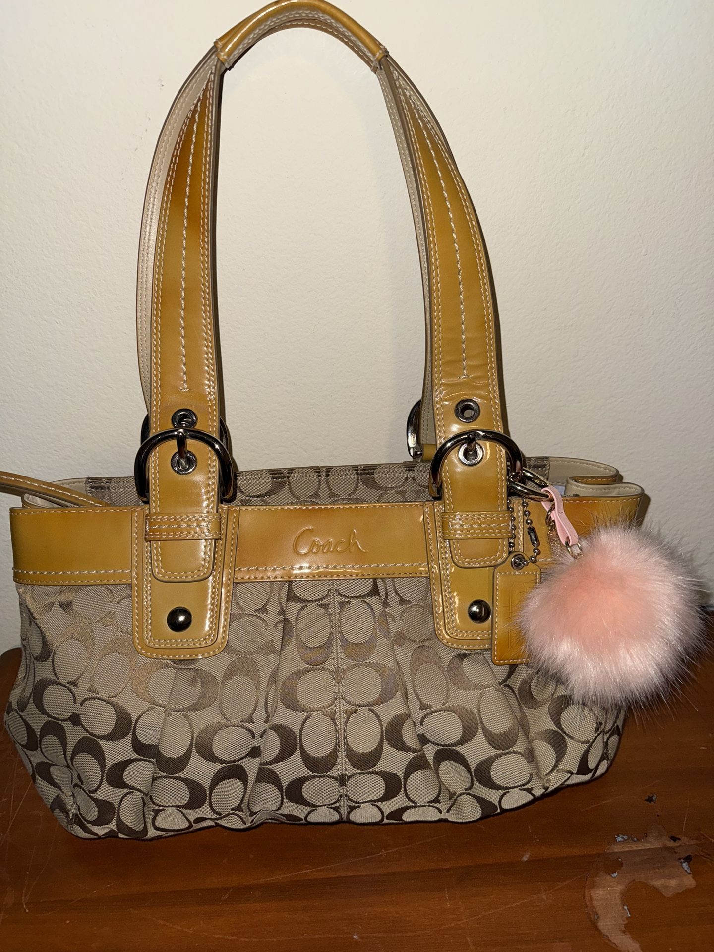 Coach SoHo Pleated Hobo Bag