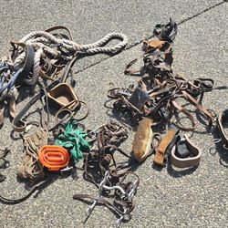 Horse Bridles, Leads, Bits, Etc.