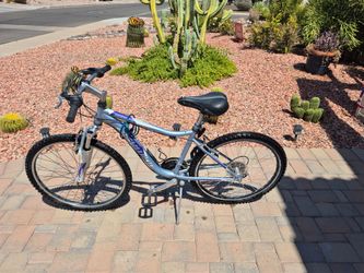 Schwinn Ranger 26 inch Mountain Bike