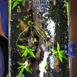 Fish Aquarium, 10GL "23 x 14 X 7"