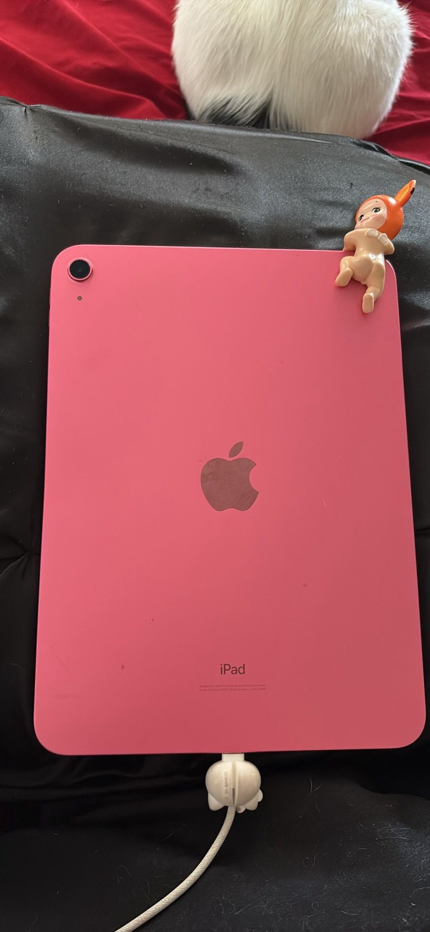 Ipad 10 Pink W/Box