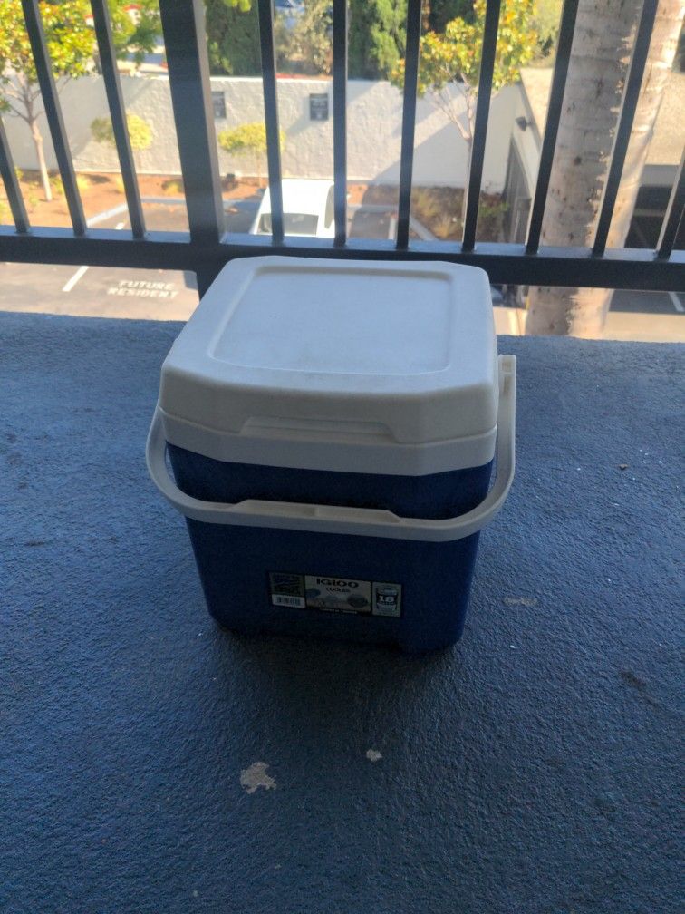 11L Small Igloo Cooler