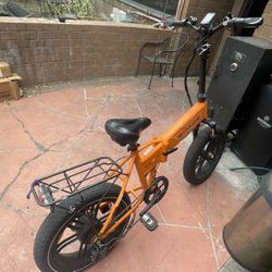 E-Bike 750W Motor