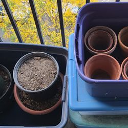 Terracotta & Assorted Plant Pots