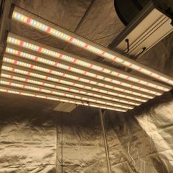 Bontanny BO-6500 LED Grow Light Lm281b LED Chips  640 Watts Massive Spread