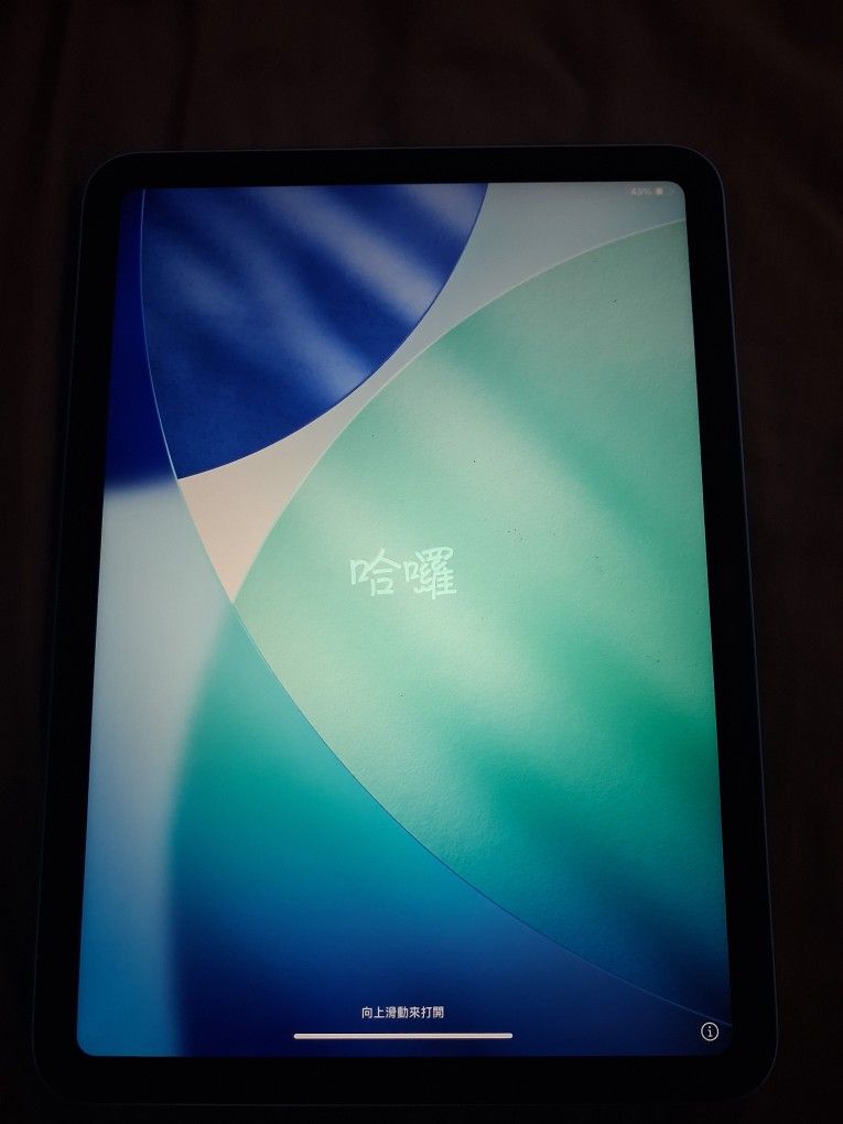 10th Gen Ipad
