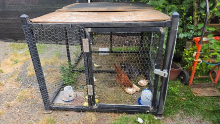 Wire Mesh chicken /cat/dog Cage