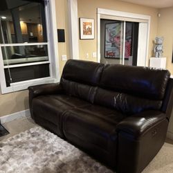 Beautiful Leather Couches