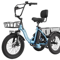 Eskute T300 Trike Electric Bicycle 