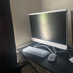 All In One Hp Computer (will Go Low On Price)