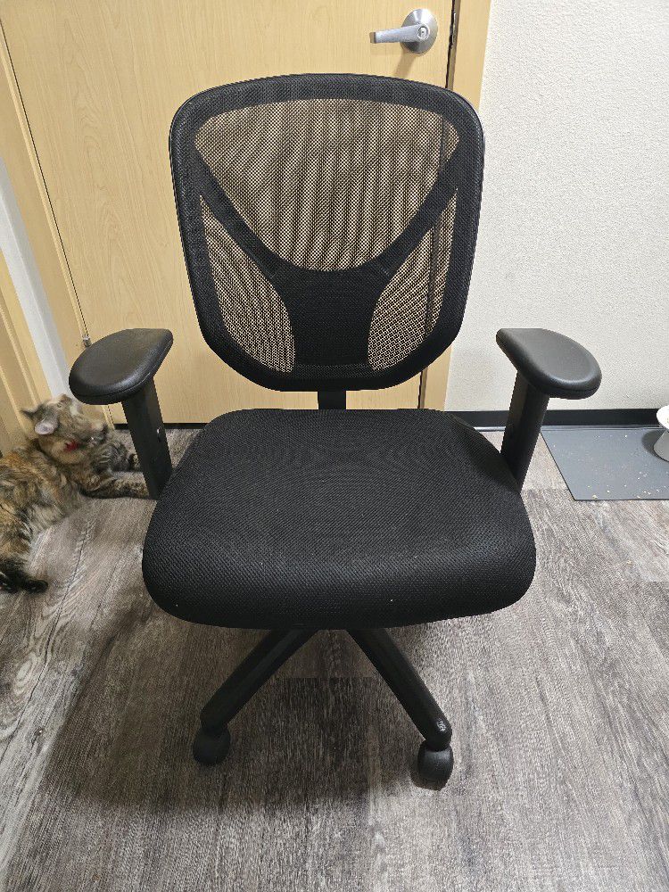 Office Chair (BACK SUPPORT) 