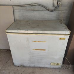Chest Freezer 