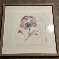 Botanical Poppy Framed Watercolor Art Print 